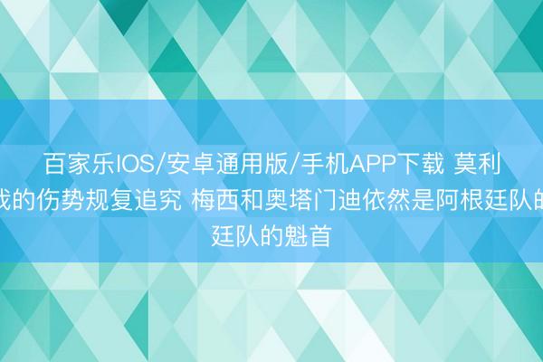 百家乐IOS/安卓通用版/手机APP下载 莫利纳：我的伤势规复追究 梅西和奥塔门迪依然是阿根廷队的魁首
