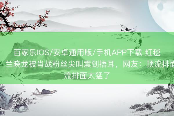 百家乐IOS/安卓通用版/手机APP下载 红毯名格式!兰晓龙被肖战粉丝尖叫震到捂耳,网友:顶流排面太猛了