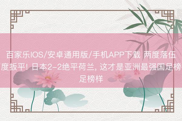 百家乐IOS/安卓通用版/手机APP下载 两度落伍两度扳平! 日本2-2绝平荷兰， 这才是亚洲最强国足榜样