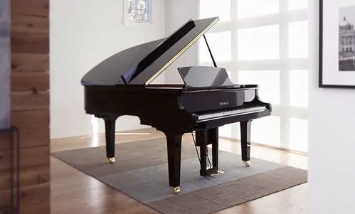 产品介绍 dkv系列 寰宇共曲,身临琴境