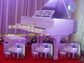 深圳百利二手钢琴 晶报专题采访企业的成功之道