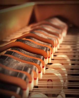 乐器养护之乐器之王——钢琴