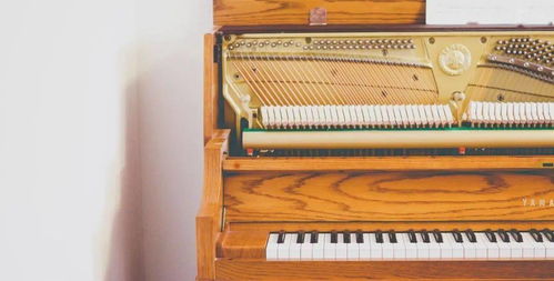 守护冬日琴音 钢琴保养实用小妙招