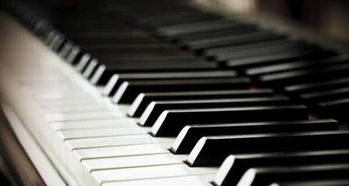 专业钢琴一对一授课 沈阳音乐学院钢琴系的卓越传承