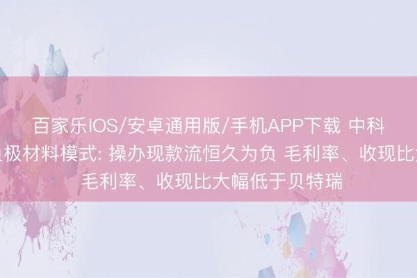 百家乐IOS/安卓通用版/手机APP下载 中科电气圮绝百亿负极材料模式: 操办现款流恒久为负 毛利率、收现比大幅低于贝特瑞